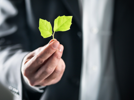 Air Business partners with Carbonology to reduce carbon footprint