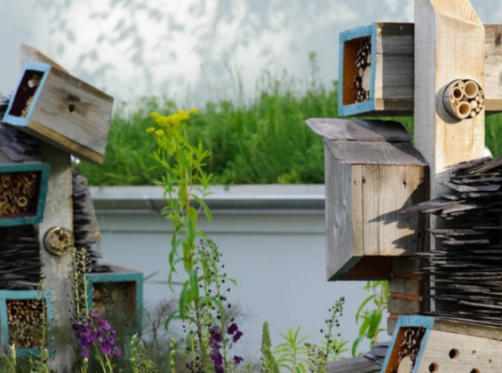 Immediate launches media-first publisher sustainability platform