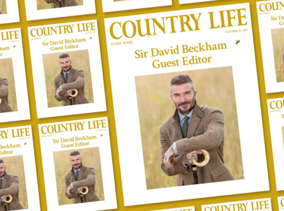 Sir David Beckham guest edits Country Life
