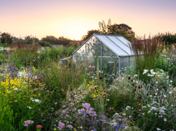 BBC Gardeners’ World Magazine reveals top three standout gardens in best-of-the-best competition